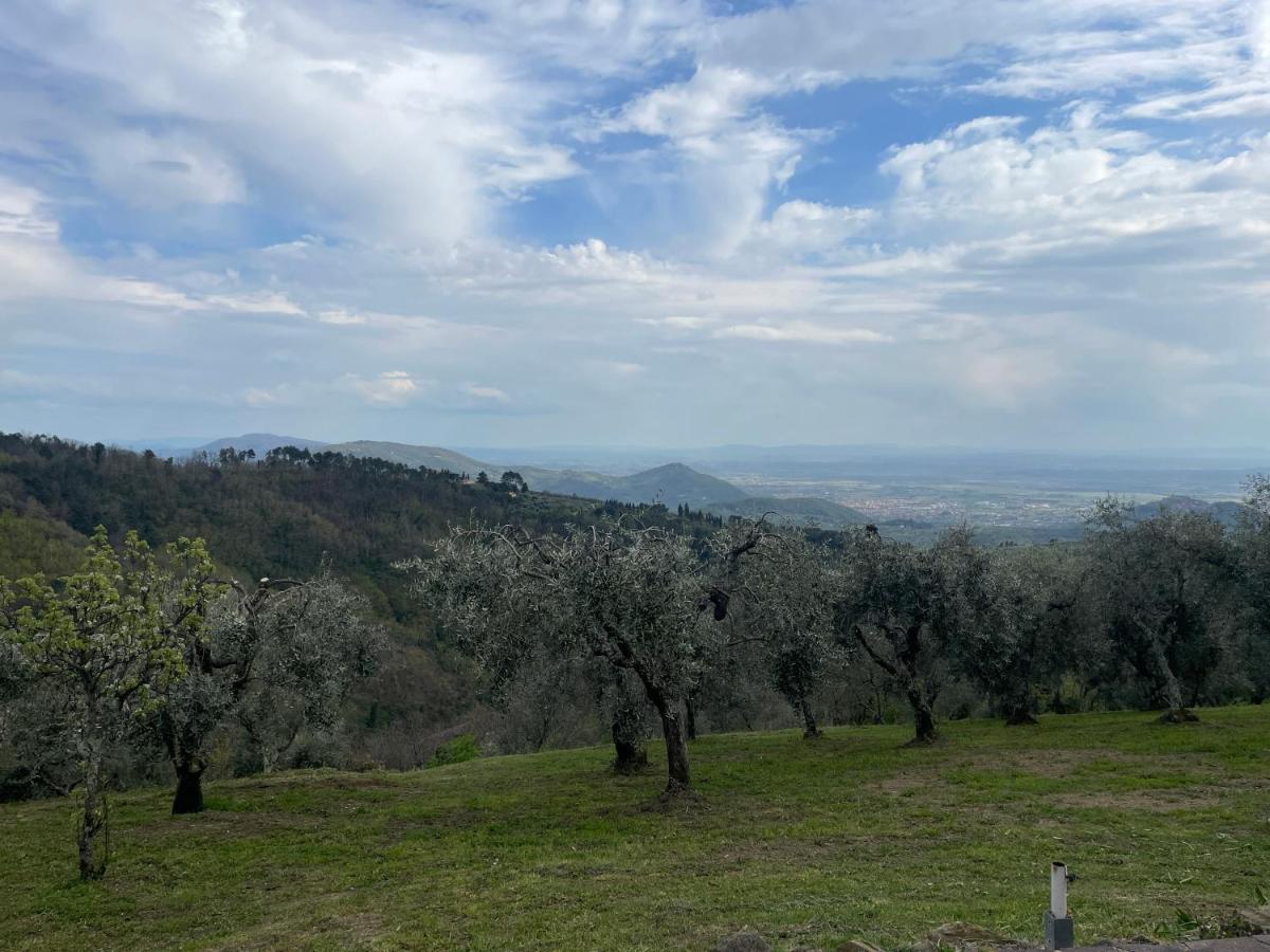 Podere Il Poggio Avaglio エクステリア 写真