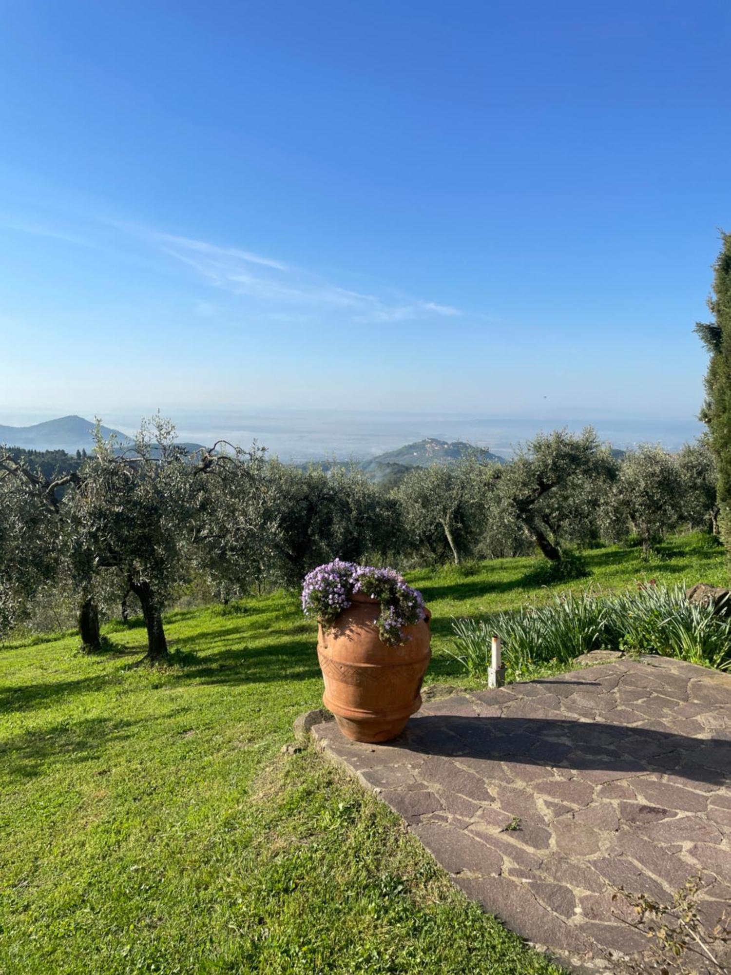 Podere Il Poggio Avaglio エクステリア 写真